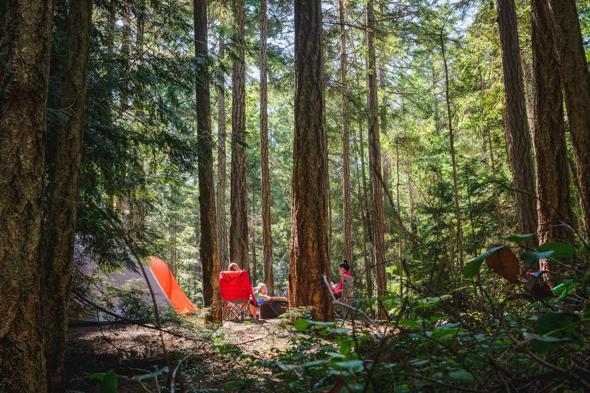 people sitting on ground surrounded by trees during daytime