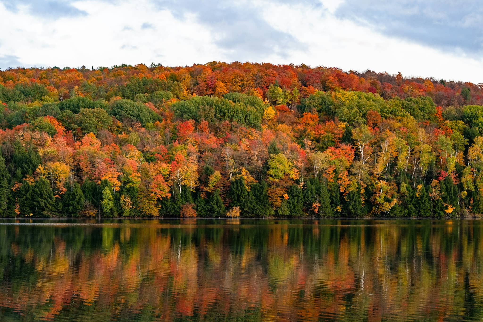 Autumn color along a Maine lake shore, green and brown trees beside still water