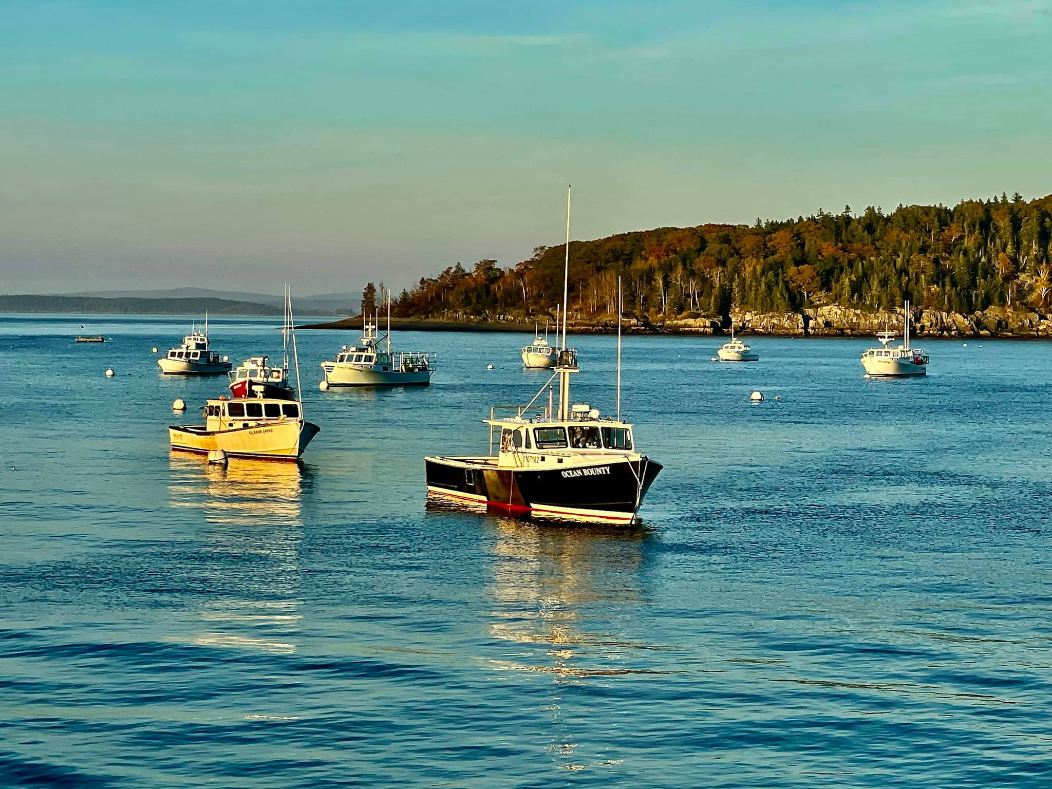 Boats moored in a sheltered harbour