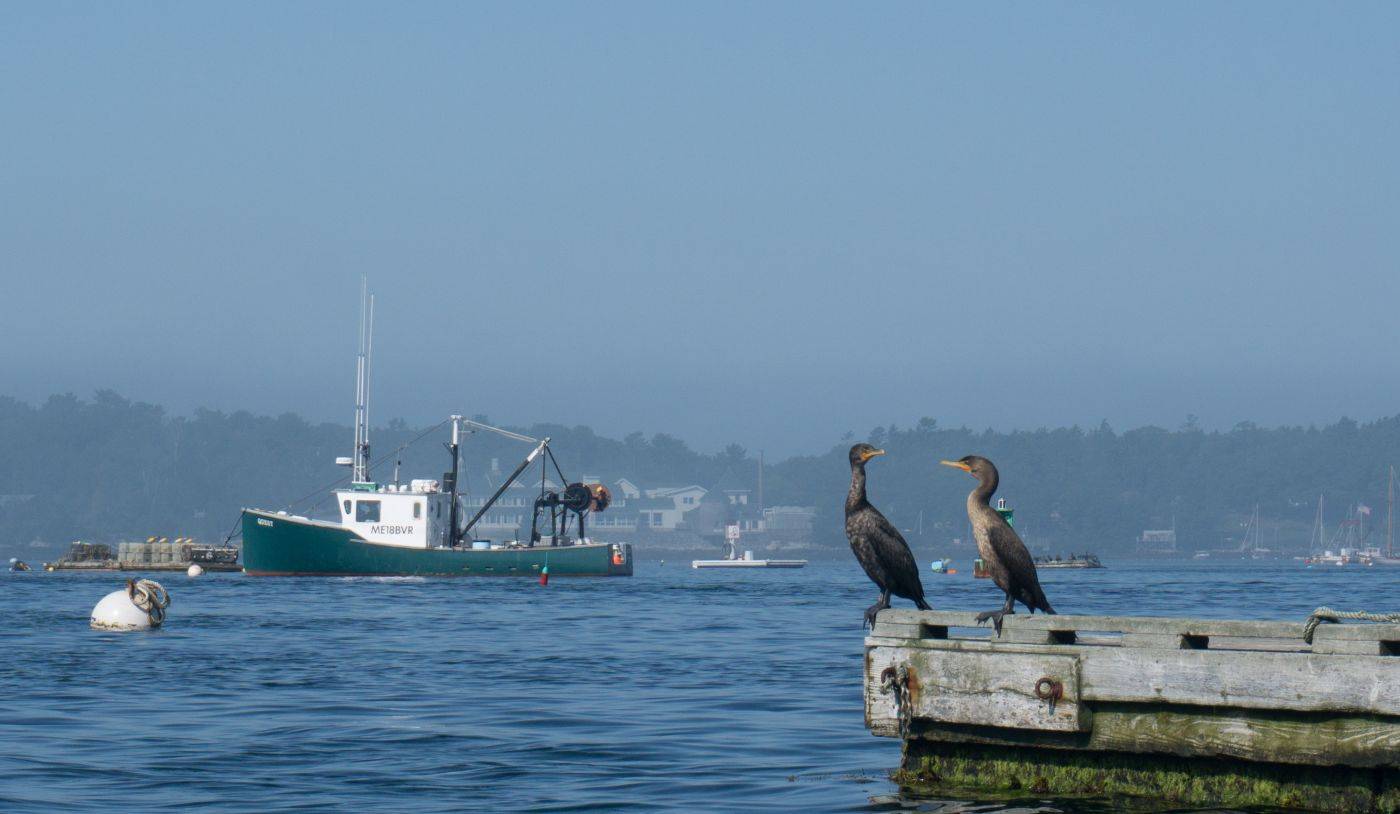 Boothbay Harbor