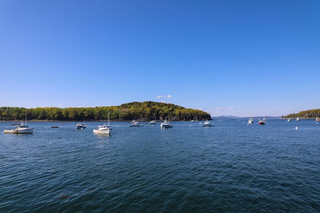 white motorboat in body of water during daytime