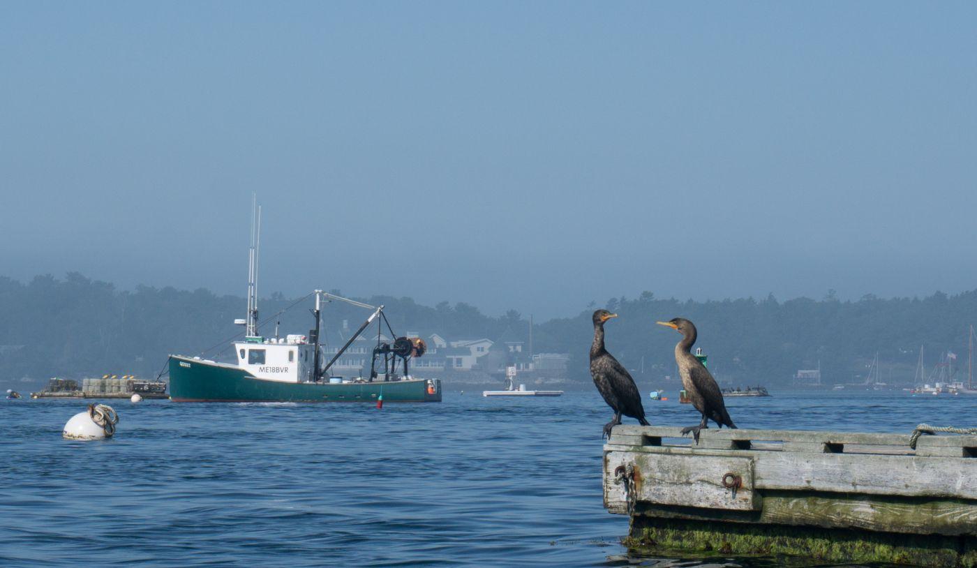 Boothbay Harbor