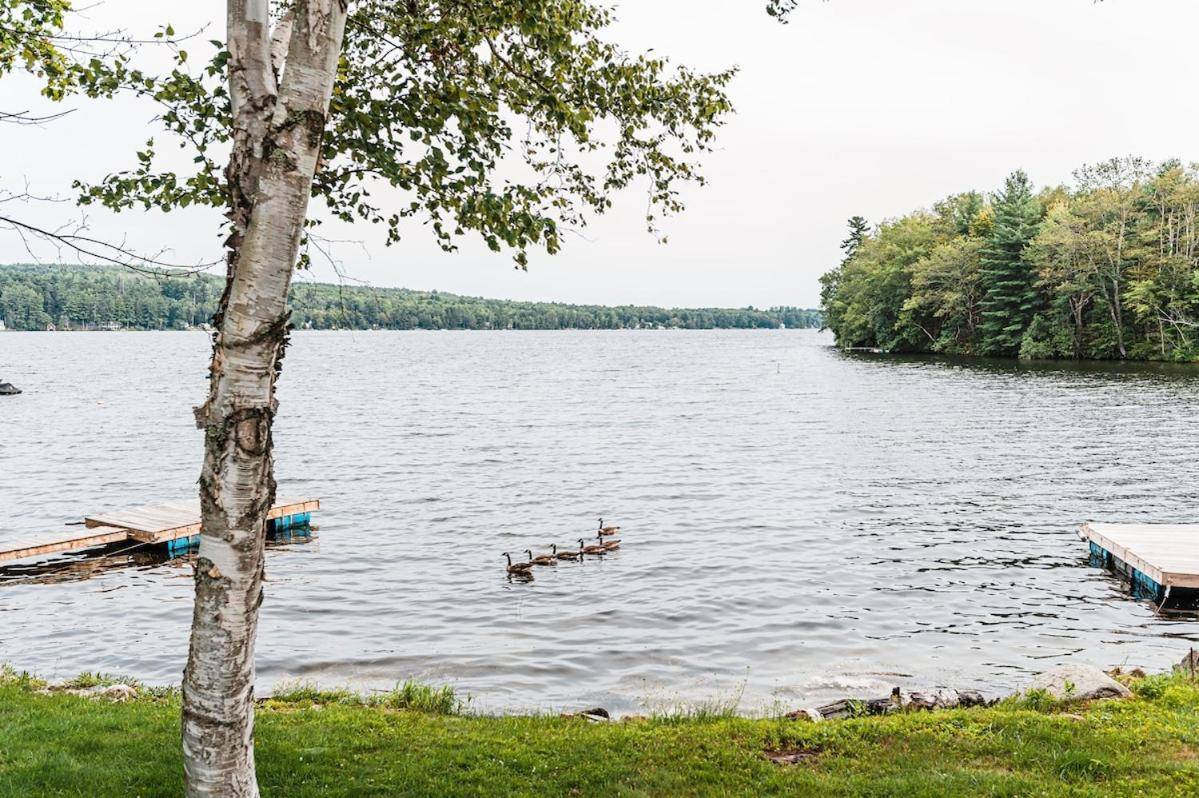 a lake with ducks swimming in the water at Cozy Keyes Cottage in Winthrop