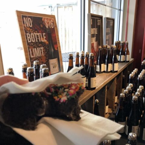 Allagash Brewing Company