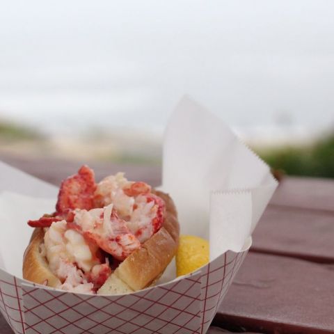 Bite Into Maine